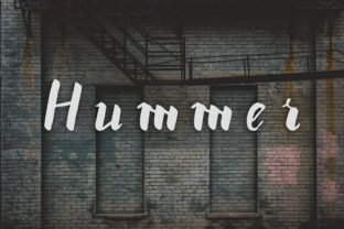Hummer: Bold, Distinctive Typography for Standout Design