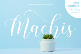 Machis: A Modern Calligraphy Font Built for Real Design Workflows