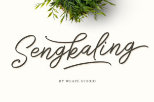Sengkaling Script: A Practical Monoline Script Font for Real-World Workflows