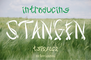 Stangen: A Bold Display Font That Commands Attention