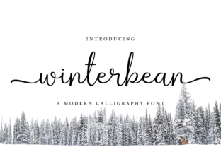 Winterbean: Elegant Modern Calligraphy Font